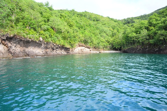 Privatize the Boat for Half a Day With Family/Friends. - Ideal for Celebrations and Gatherings