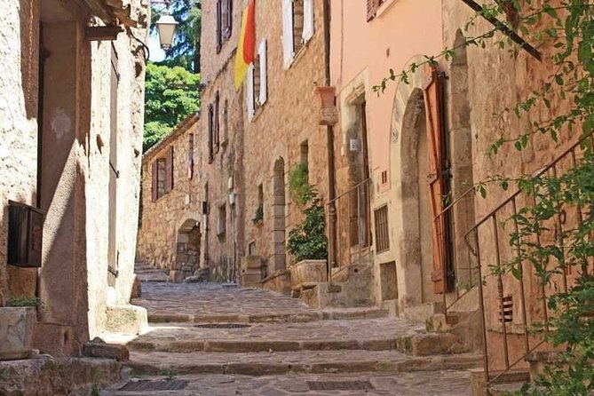 Provence Private Full Day Wine Tour With Wine Tasting - Savoring Provences Culinary Delights