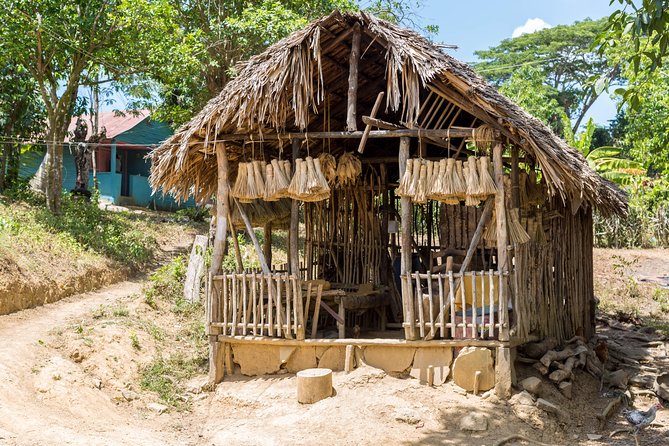 Puerto Plata: Cultural Escape Tour in Puerto Plata - Personalized Experience