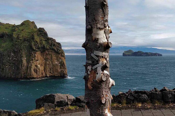 Puffin and Volcano Boat Tour Review - Customer Reviews