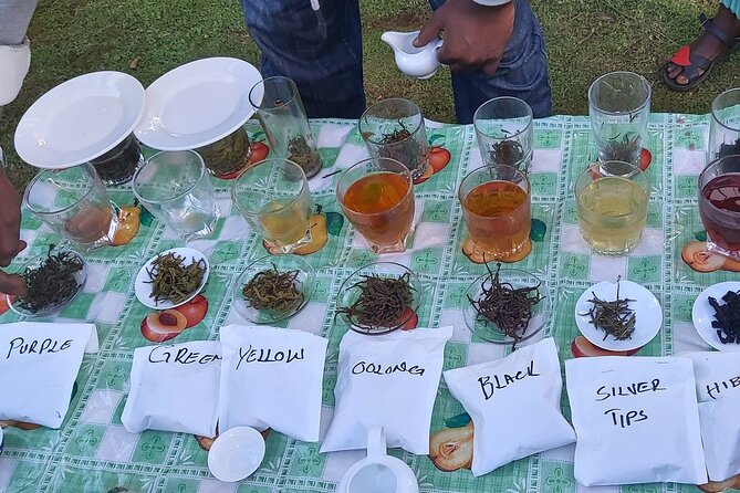 Purple Tea Farm Tour From Nairobi City - Specialty Tea Tasting - Customer Reviews and Ratings