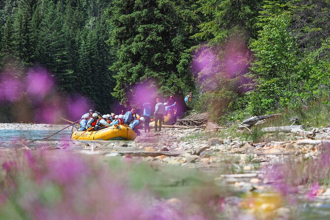 Rafting Adventure on the Kicking Horse River - Highlights From Customer Reviews