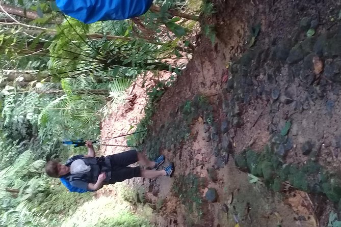 Rain Forest and Bird Watching - Discovering Wildlife