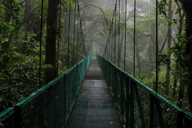 Rain Forest Monteverde,Hanging Bridges, Sloths,Birds Watching - Sloth Sanctuary Experience