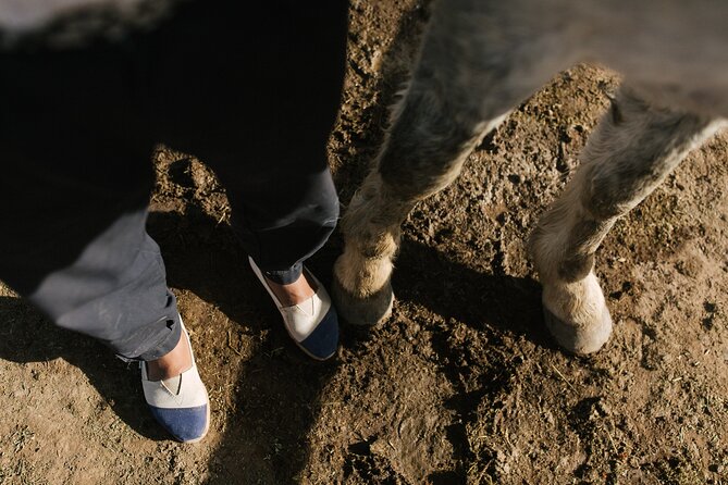 Rancho Gaucho Estate Expeditions 3 Days - Customer Reviews and Ratings