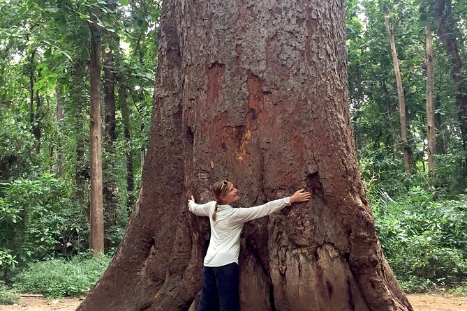 Rau Forest Nature Walk (One Trip - One Tree) - Traveler Reviews