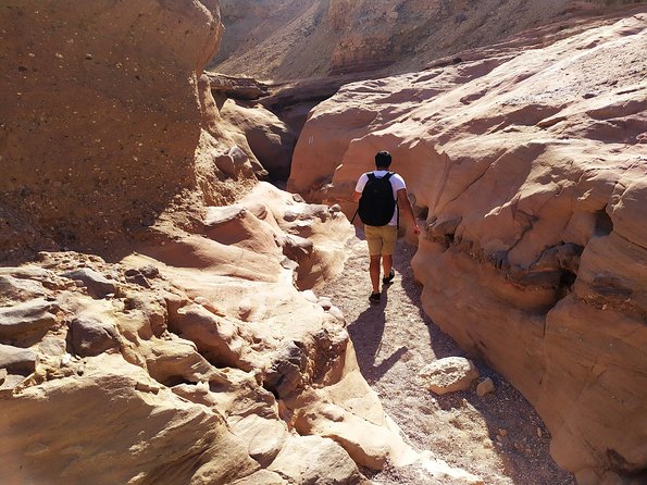 Red Canyon Jeep Tour in Eilat - Traveler Feedback and Reviews