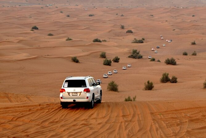 Red Dune Evening Desert Safari With Sandbashing and BBQ Dinner - Booking Process