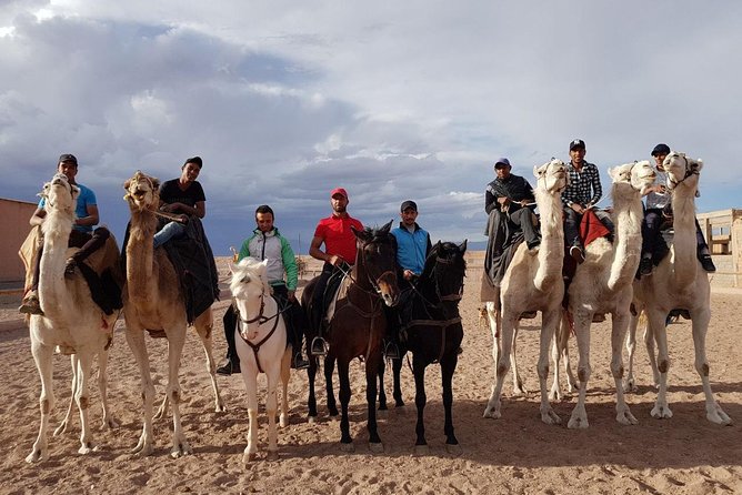 Ride the Cast of Famous Hollywood Movies on Set in Their Natural Environment! - Frequently Asked Questions