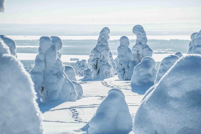 Riisitunturi Wilderness Adventure - Tailored Flexible Itinerary