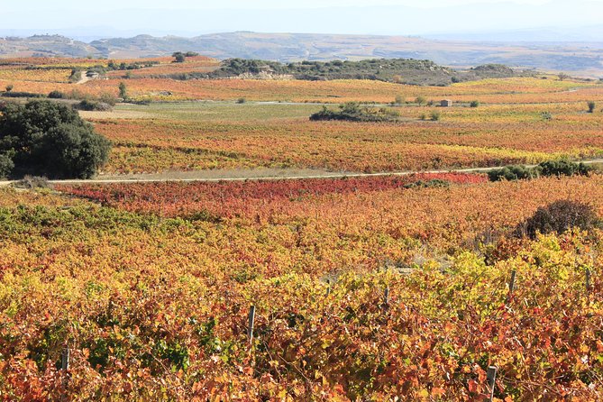 Rioja Wine Tasting Tour From San Sebastian - Getting the Most From the Tour