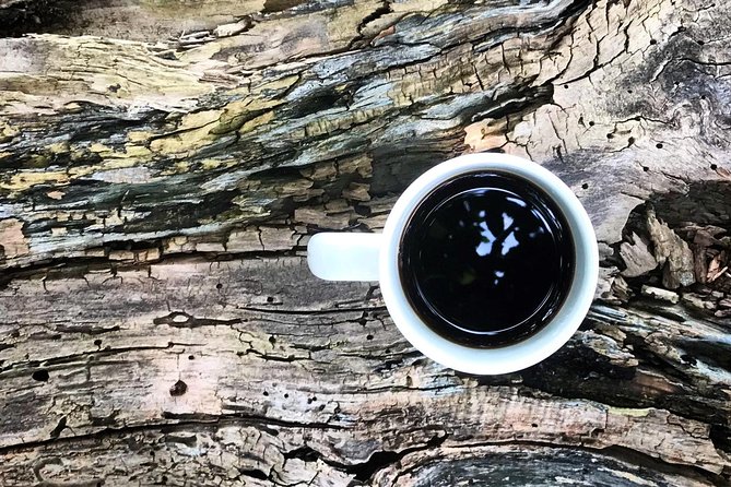 Roasting Experience at 14th Coffee Co - Scenic Nature Views