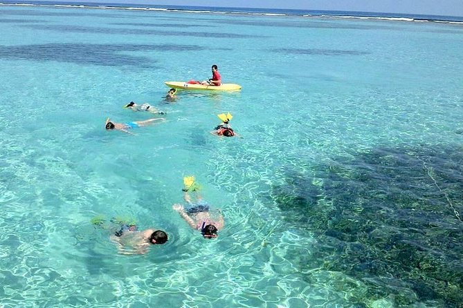 Roatan Parasailing Shore Excursion Adventure and Reef Snorkel - Health Restrictions and Capacity