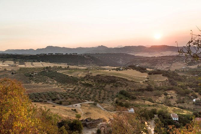 Ronda Village Guided Tour From Costa Del Sol - Visitor Feedback and Ratings