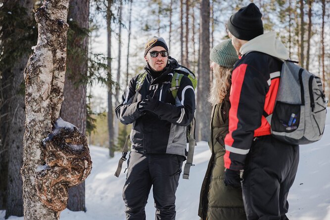 Rovaniemi - Visit to The Frozen Waterfalls of Korouoma - Comfortable Transportation