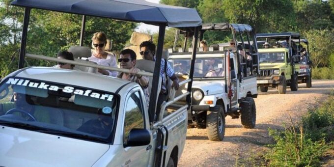Safari Adventure:Udawalawe National Park Half-Day Expedition - Pickup and Transportation