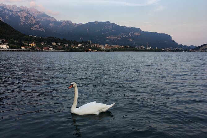 Sailing at Sunset on Lake Como Review - Traveling With Children