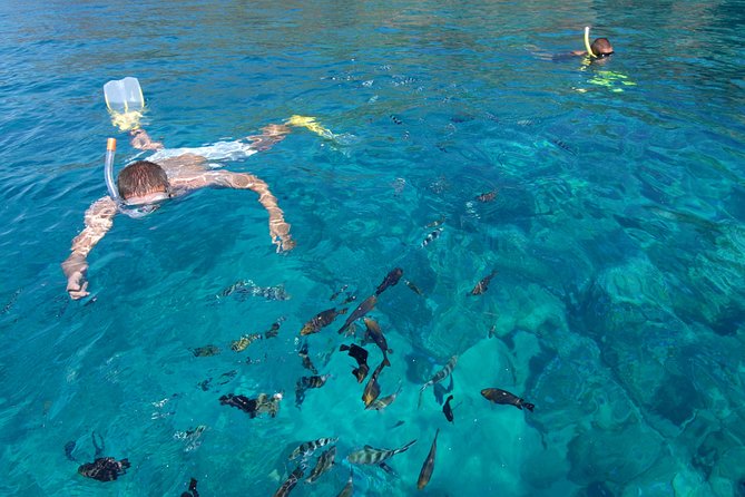 Sailing Catamaran Cruises - Dietary Accommodations