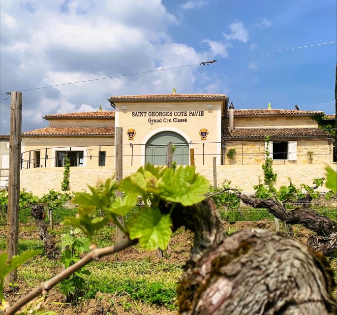 Saint-Émilion: Bordeaux Vineyard Tour and Wine Tasting - Frequently Asked Questions