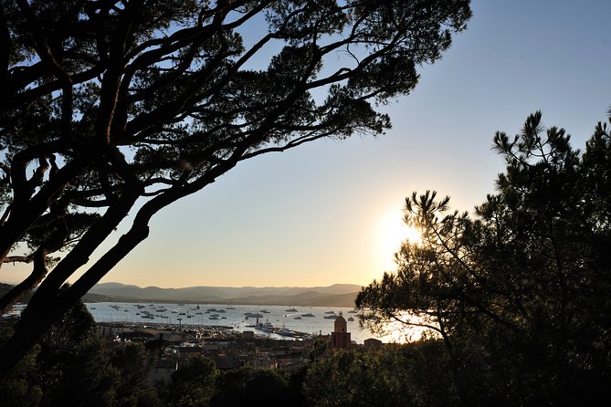 Saint-Tropez and Port Grimaud Day From Nice Small-Group Tour - Explore St Tropez Harbor