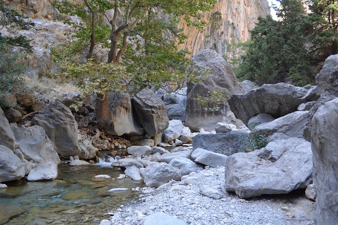 Samaria Gorge From Chania - Traveler Reviews and Feedback