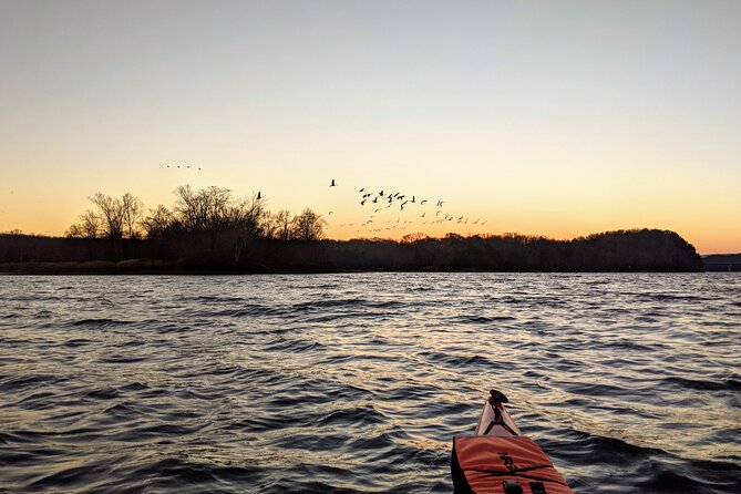 Sandhill Crane Kayak Tour With Chattanooga Guided Adventures - Safety Measures and Equipment