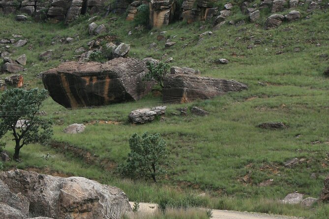 Sani Pass Day Tour From Durban - Pickup and Meeting Details