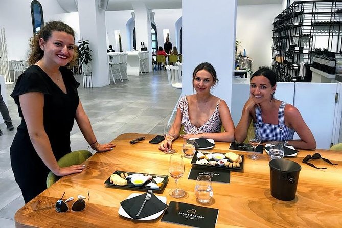 Santorini Wine and Food Experience With Pick up - Accessibility and Age Restrictions