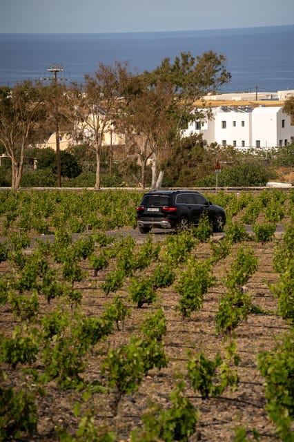 Santorini: Wine O Clock - Wine Tasting Private Tour - Winery Visits