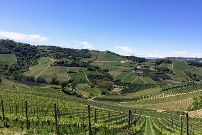Scenic Langhe Hike and Wine Tasting From Alba  - Langhe-Roero and Monferrato - Important Considerations
