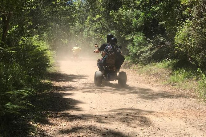 Scooter Tours Through Tsitsikamma National Park - Traveler Reviews and Feedback