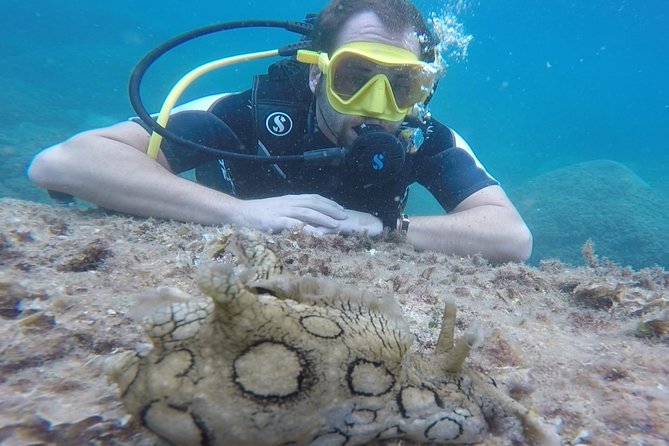 Scuba Diving Experience in Taormina - Traveler Reviews and Recommendations