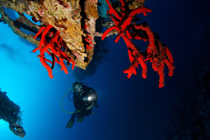 Scuba Diving for Certified Divers - Important Considerations