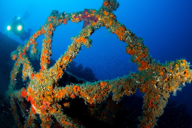 Scuba Diving in Calabria, Italy - Accessibility and Physical Fitness