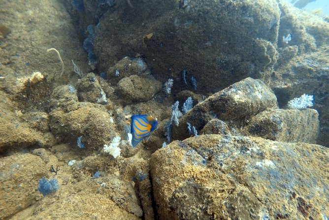 Scuba Diving in Mirissa - Meeting and Pickup Information