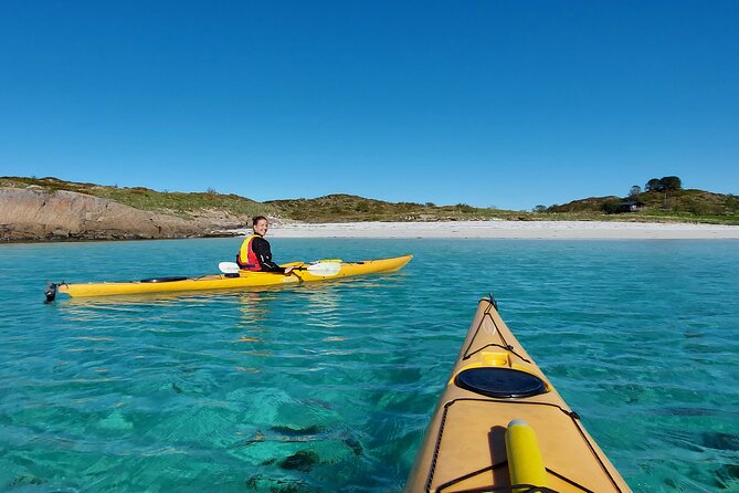 Sea Kayak Guided Tours on Skrova Island - Opportunities to Spot Wildlife