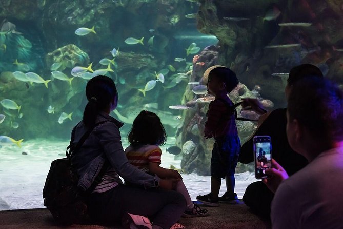 SEA LIFE Brighton Admission Ticket - Planning Your Visit