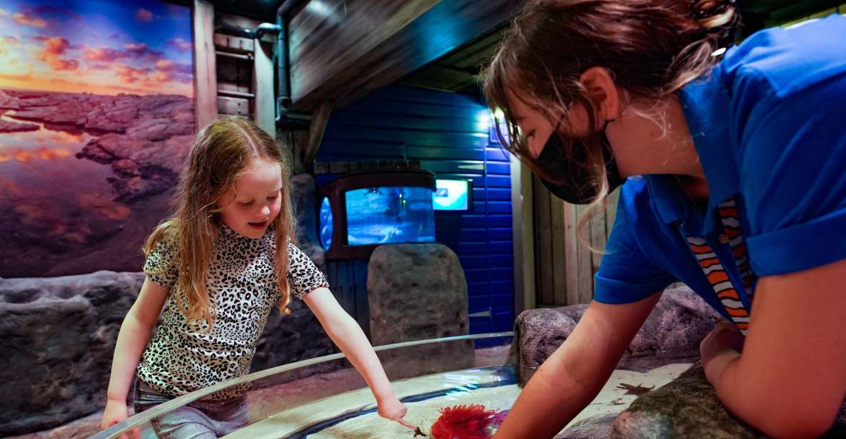 SEA LIFE Great Yarmouth - Themed Atlantis Display