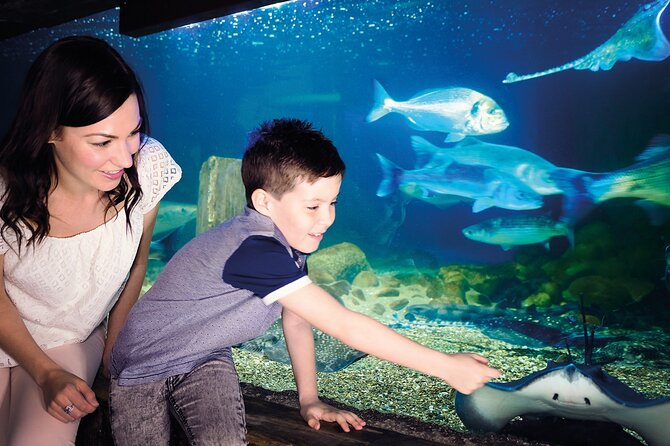 SEA LIFE Munich Admission Ticket - Visitor Feedback and Ratings