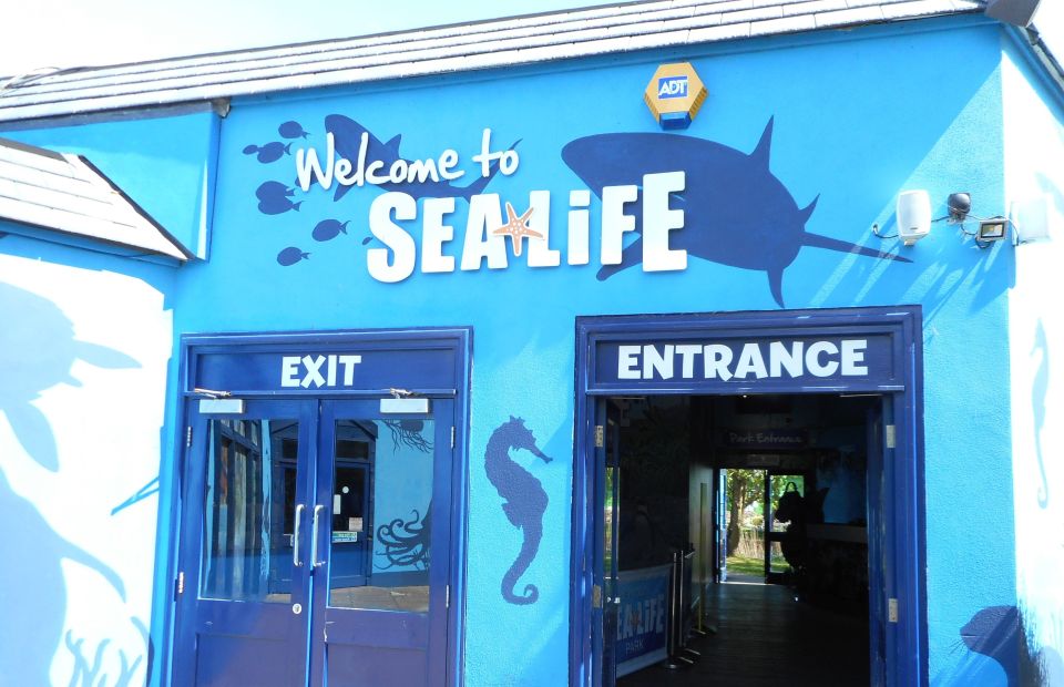 Sea Life Weymouth Admission Ticket - Pirate Adventure Mini-Golf