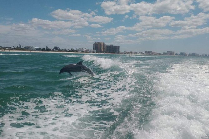 Sea Screamer Boat Cruise in Clearwater Beach With Transport - Customer Feedback