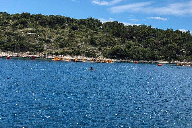 Secrets of Brac and Solta - Off the Beaten Track Croatia - Discovering the Secret Navy Tunnel