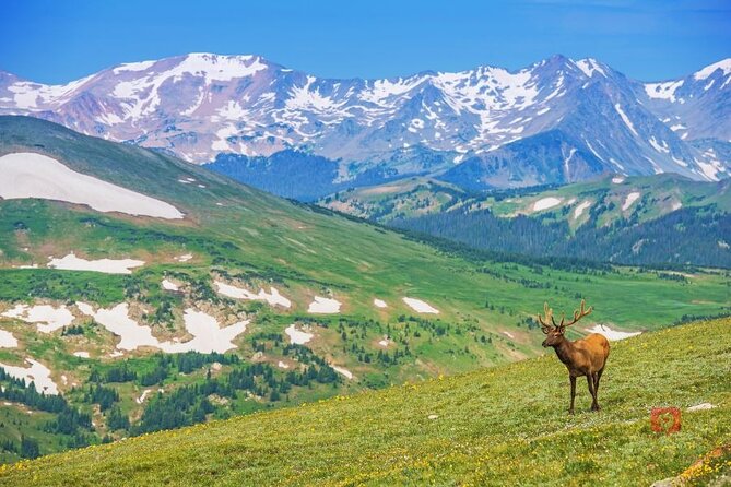 Self-Guided Audio Driving Tour in Rocky Mountain National Park - Discovering Bear Lake and Scenic Overlooks
