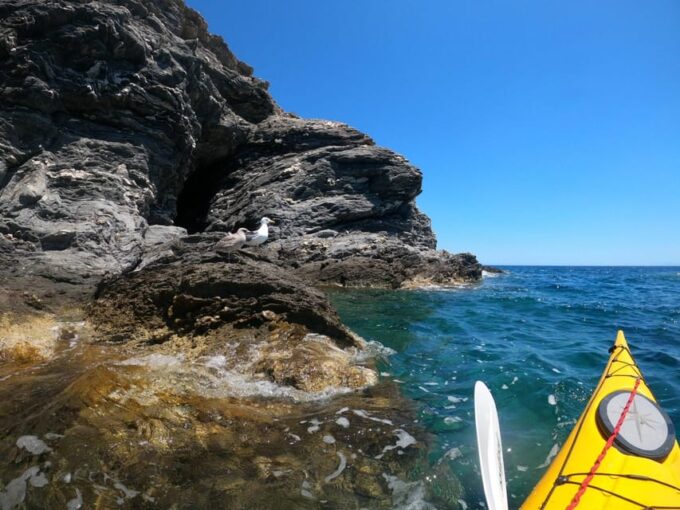 Semi-Private Half Day Kayaking Tours in Milos - Meeting Point and Route Details