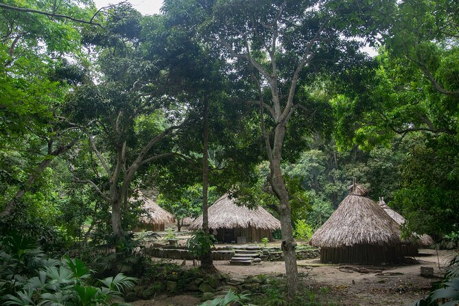 Seviaka Indigenous People and Tubing Tour in Palomino - Tubing Adventure