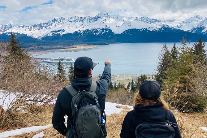 Seward Wilderness Hiking - Traveler Reviews and Experiences
