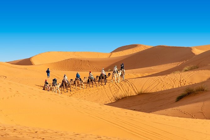 Shared Group Fez to Fez Sahara Tour 2days/1night - Important Information