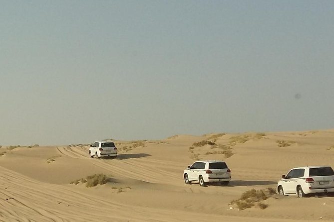 Sharing or Private Safari, Sand Boarding, Camel Ride, Inland Sea Quick Swim - Pricing and Cancellation Policy