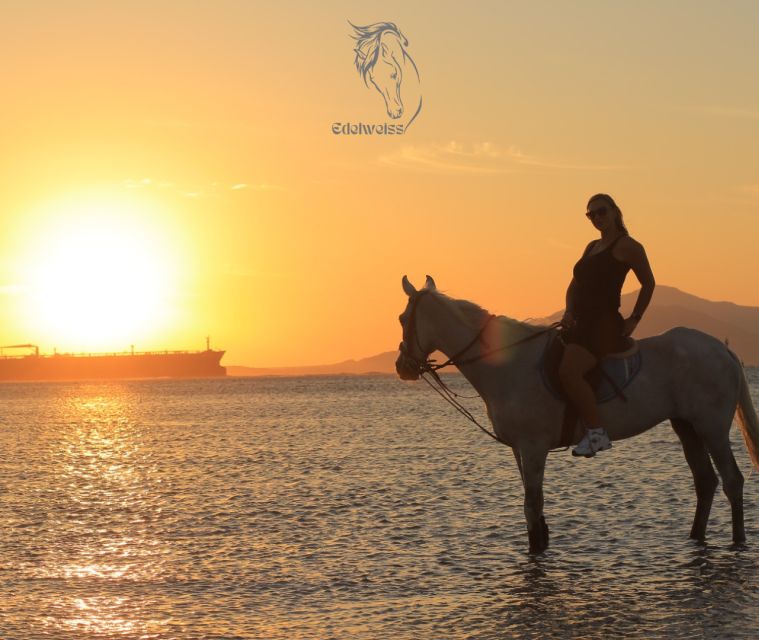 Sharm El Shiekh: Beach and Desert Horse Riding Tour - Booking Information