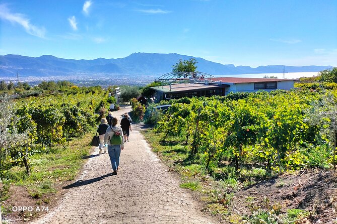 Shore Excursion Naples City Tour, Pompeii & Winery Cantina Del Vesuvio - Guest Photos and Ratings